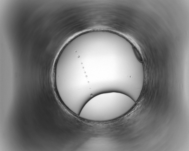 X0000094320911200711021110