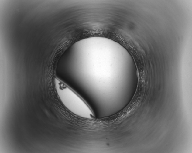X0000094320916200711021110