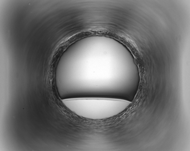 X0000094320920200711021110