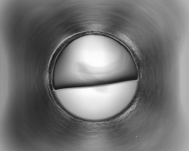 X0000094320924200711021110