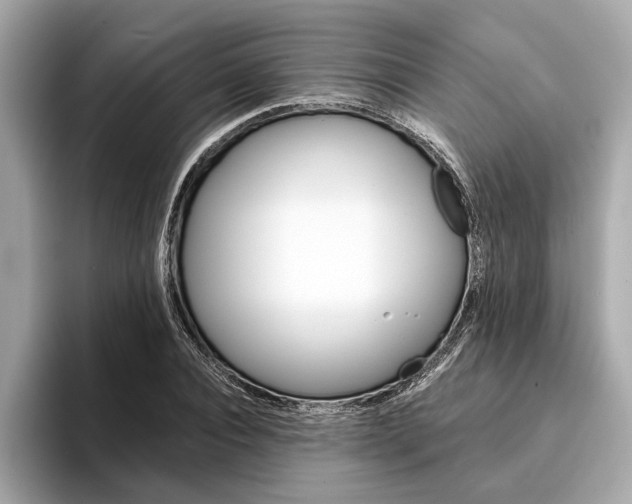 X0000094320928200711021110