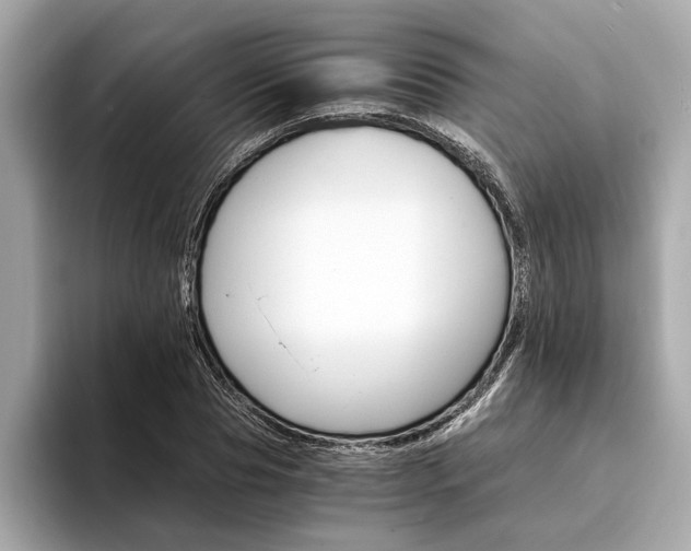 X0000094320929200711021110