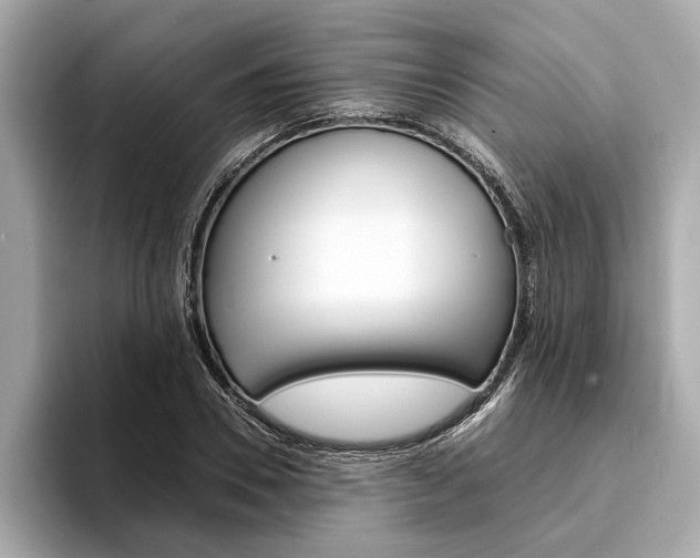 X0000094320930200711021110