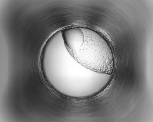 X0000094320931200711021110