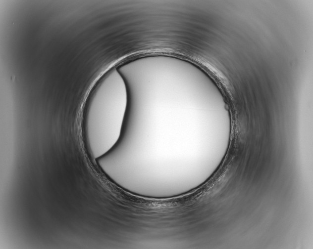 X0000094320933200711021110