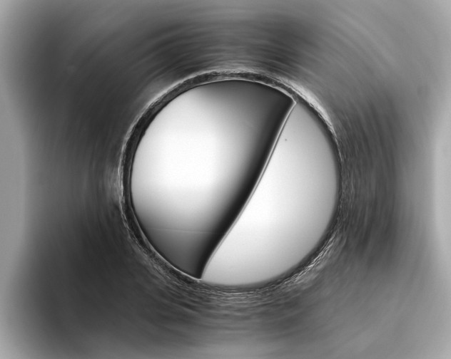X0000094320935200711021110