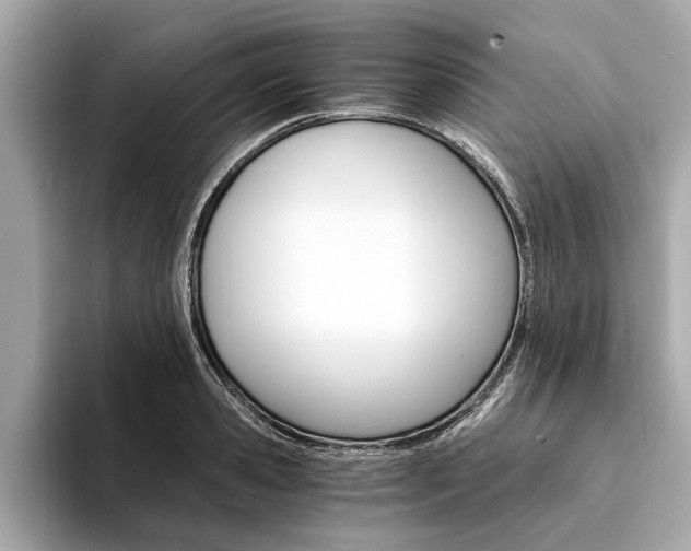 X0000094320941200711021110