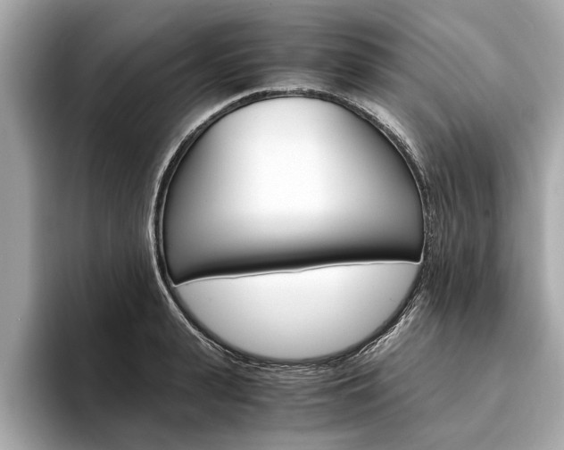 X0000094320943200711021110