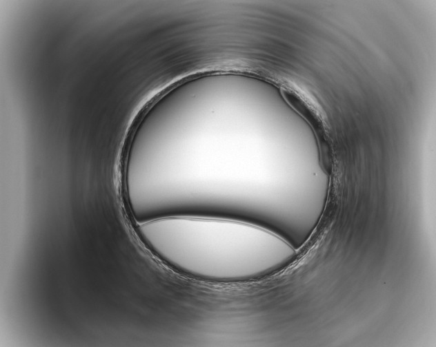 X0000094320944200711021110