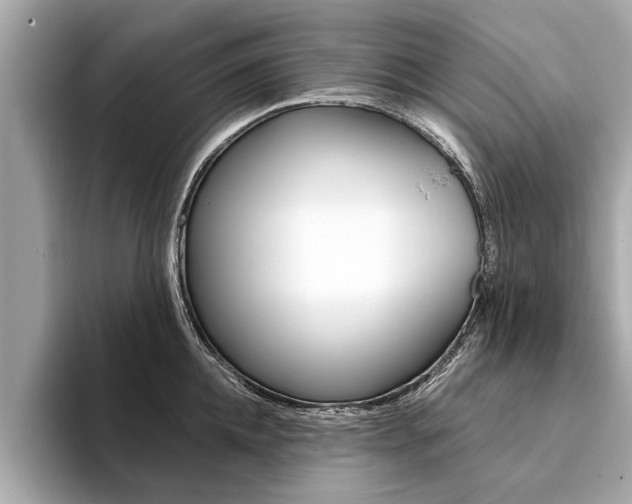 X0000094320952200711021110