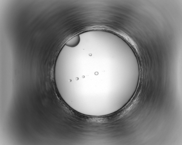 X0000094320953200711021110