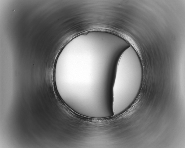 X0000094320954200711021110