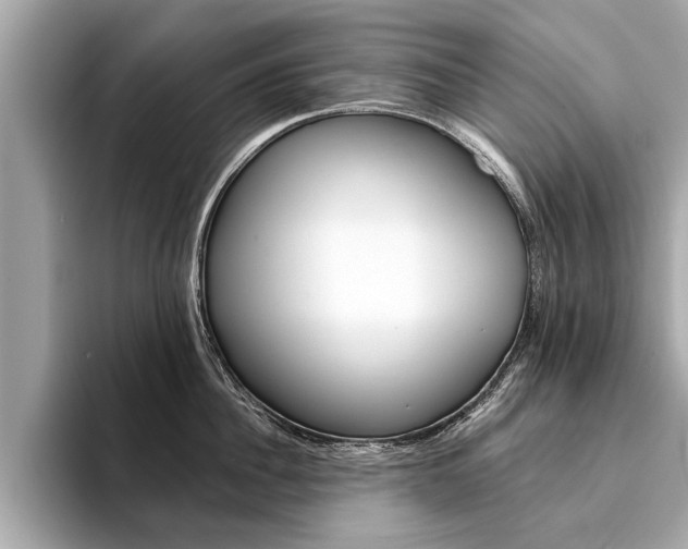 X0000094320956200711021110