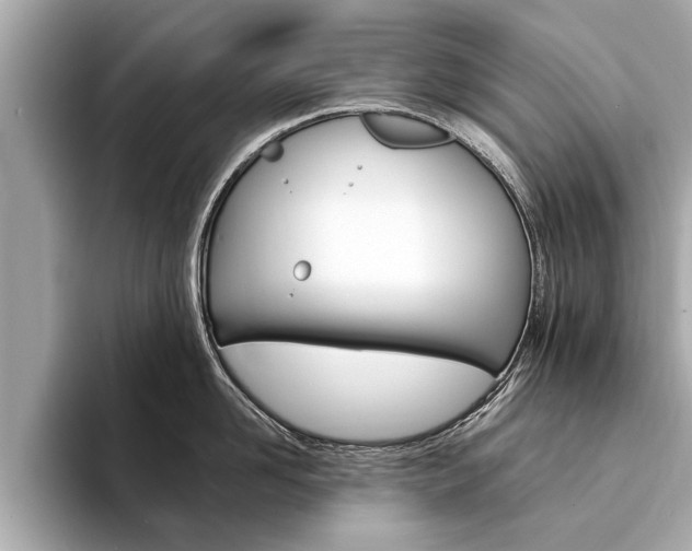 X0000094320958200711021110