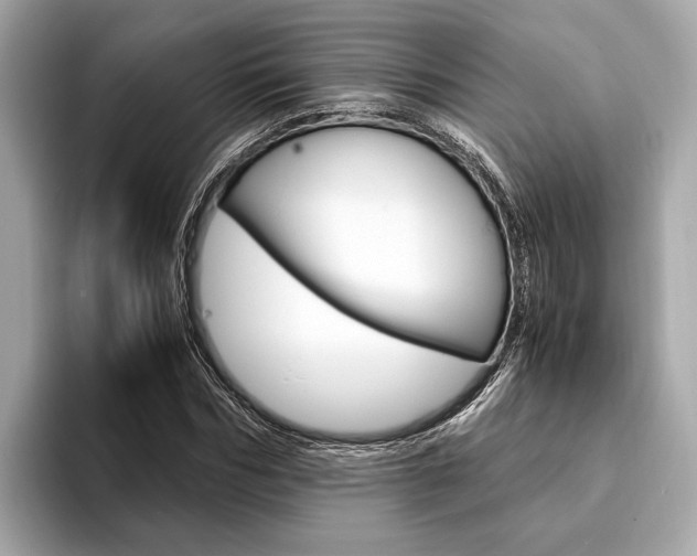 X0000094320970200711021110