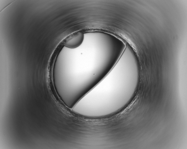 X0000094320976200711021110