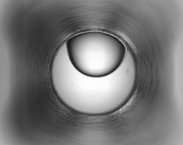 X0000094320977200711021110
