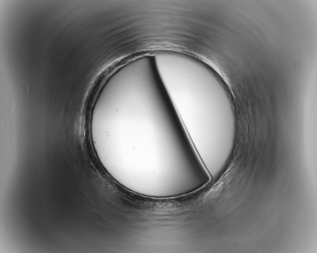 X0000094320979200711021110