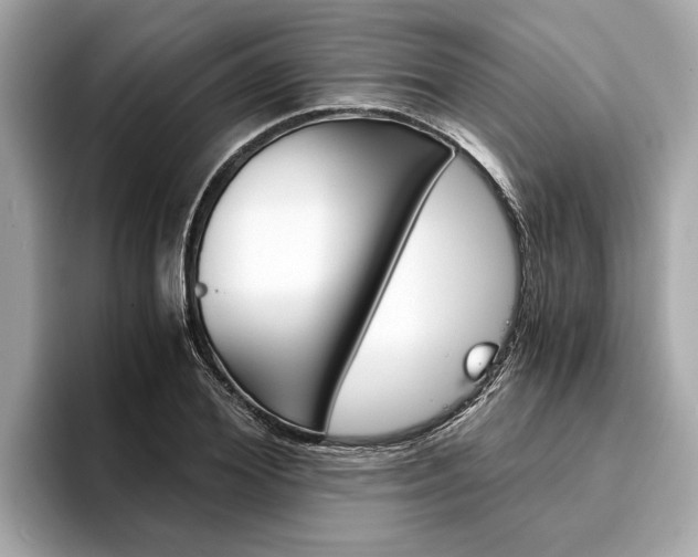 X0000094320980200711021110
