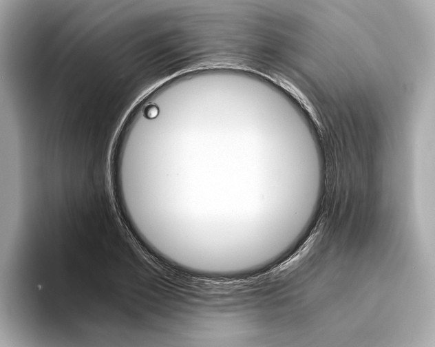 X0000094320981200711021110
