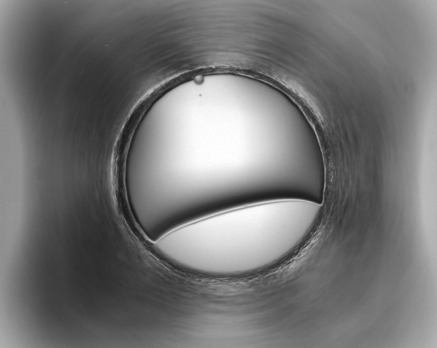 X0000094320983200711021110