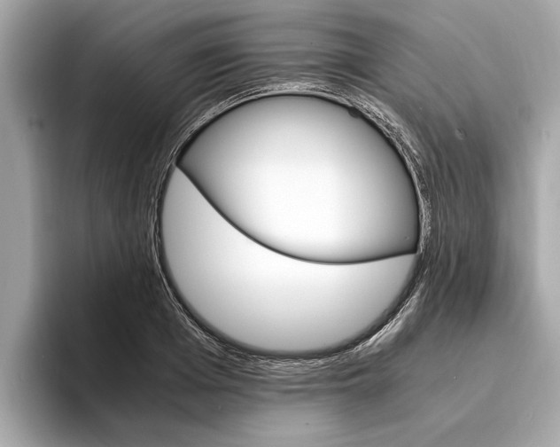 X0000094320985200711021110