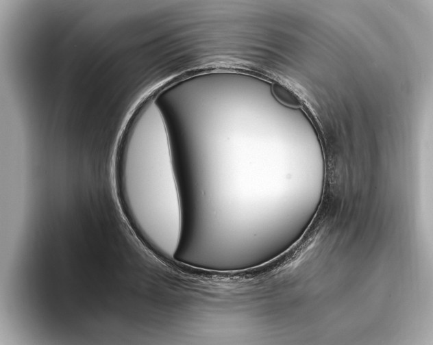 X0000094320987200711021109