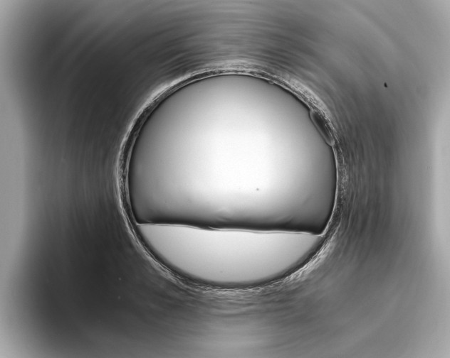 X0000094320989200711021109