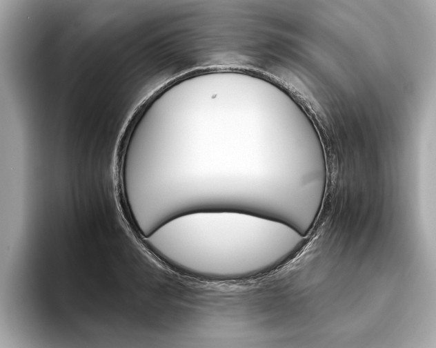 X0000094320990200711021109