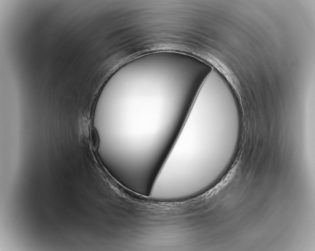 X0000094320993200711021109