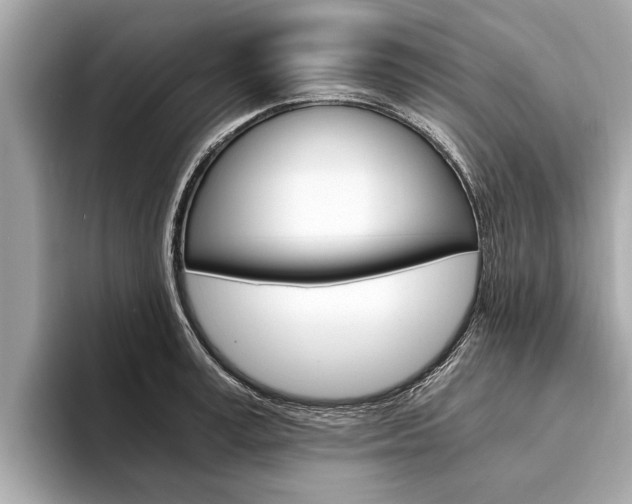 X0000094320995200711021109