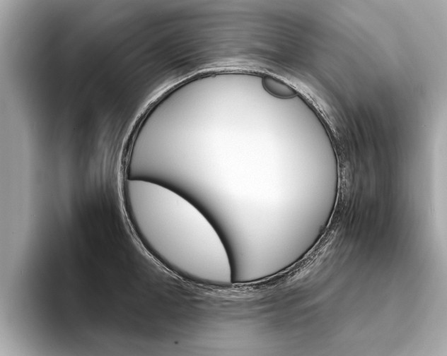 X0000094320998200711021109