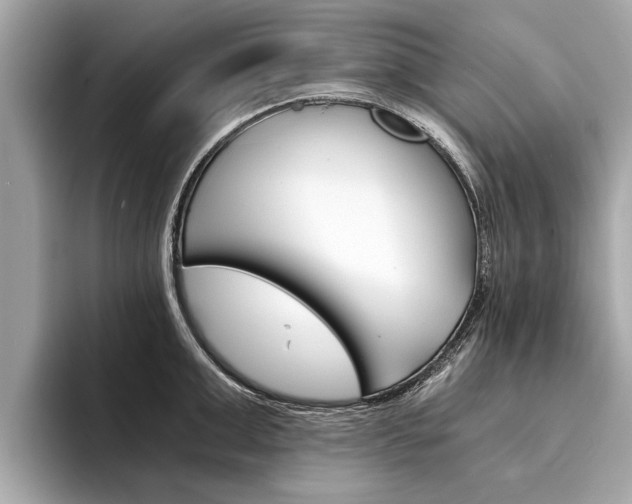 X0000094320999200711021109