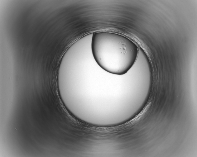 X0000094321001200711021109
