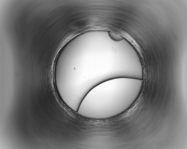 X0000094321002200711021109