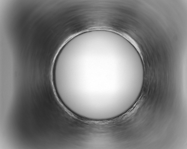 X0000094321005200711021109
