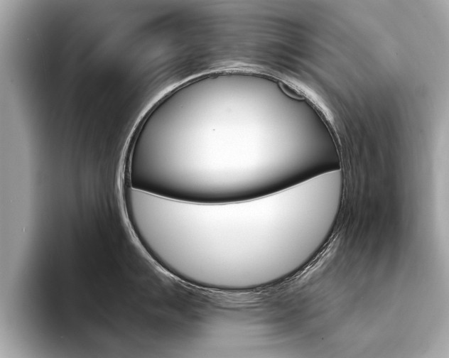X0000094321007200711021109