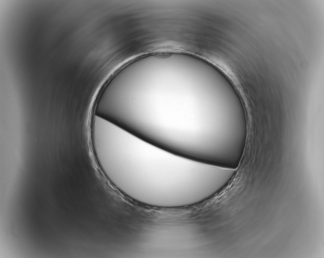 X0000094321008200711021109