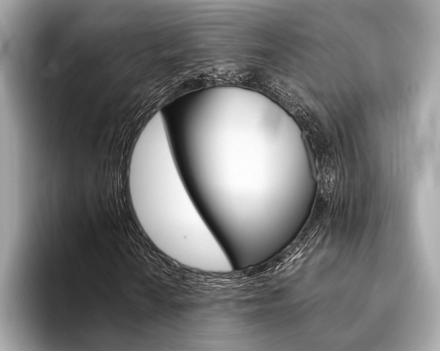 X0000094321010200711021109