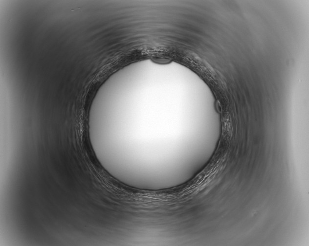 X0000094321012200711021109