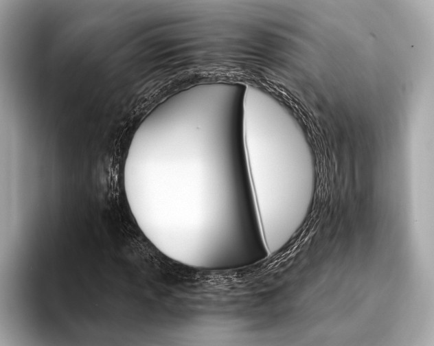 X0000094321013200711021109