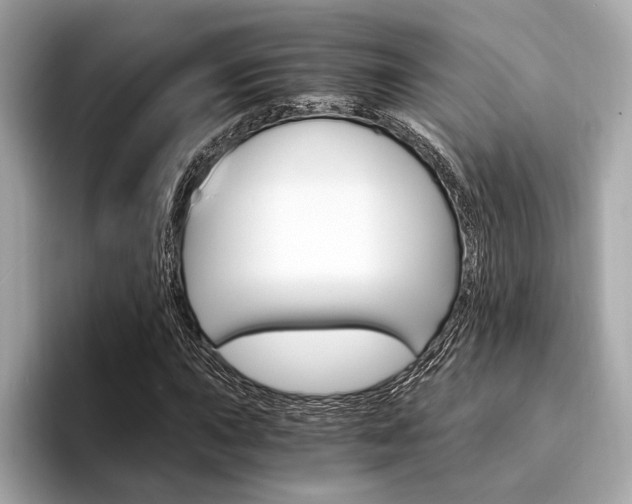 X0000094321015200711021109