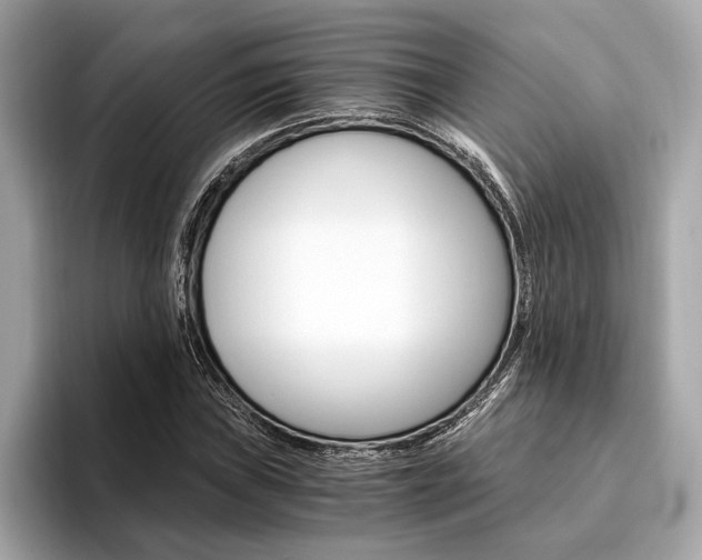 X0000094321019200711021109