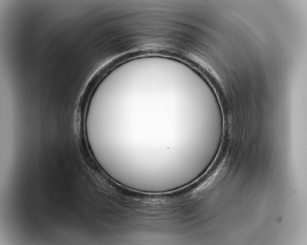 X0000094321021200711021109