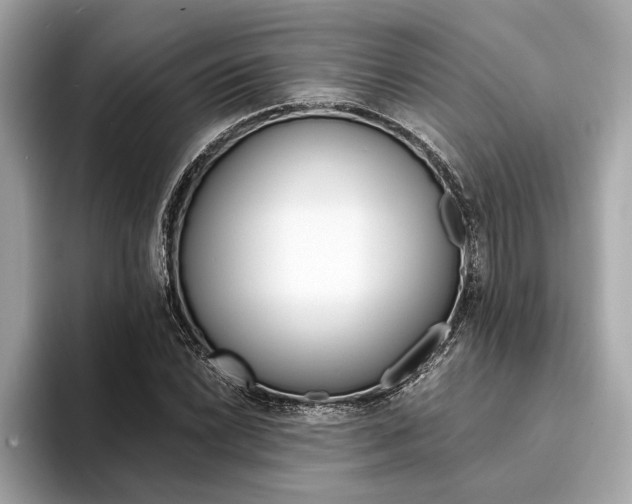 X0000094321022200711021109
