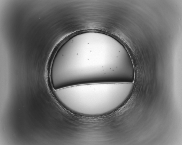 X0000094321024200711021109