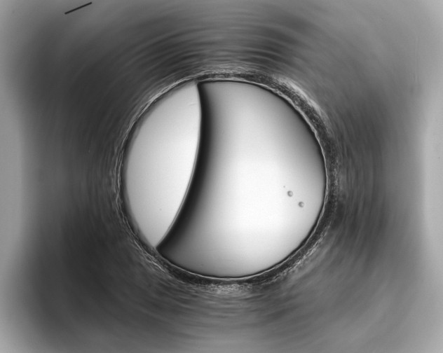 X0000094321025200711021109