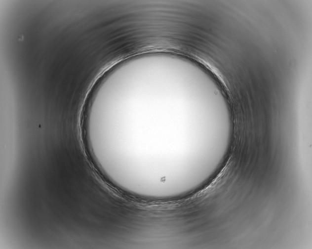 X0000094321026200711021109