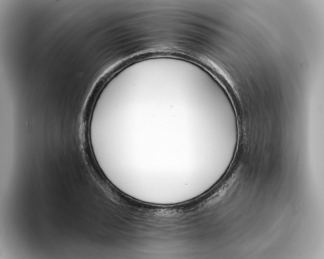 X0000094321029200711021109