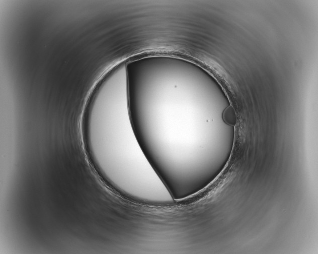 X0000094321030200711021109